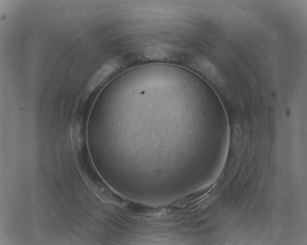 X0000062910116200601181229