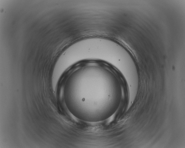 X0000062910117200601181229