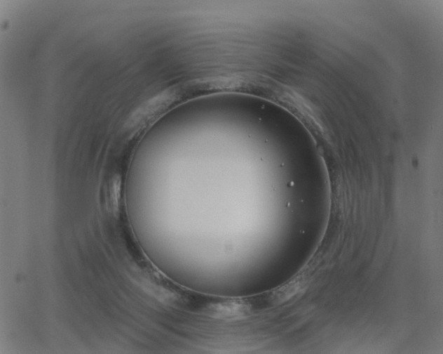 X0000062910118200601181229