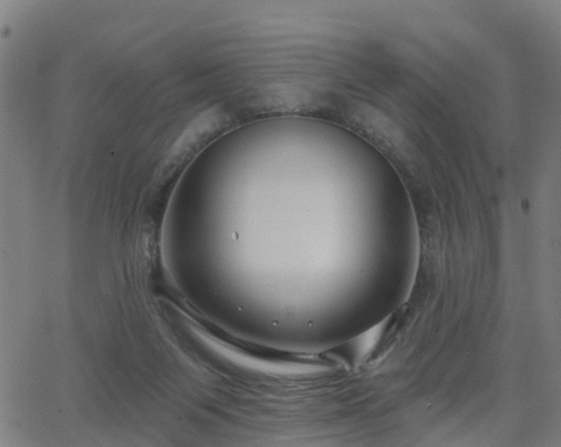 X0000062910119200601181229