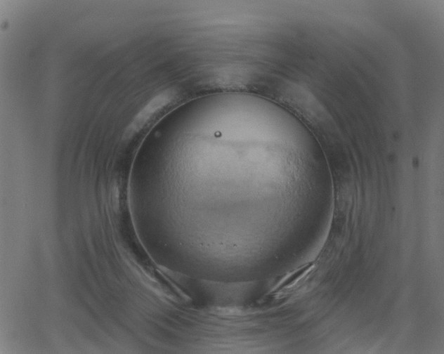 X0000062910120200601181229