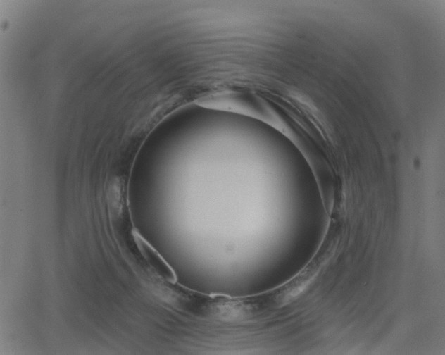 X0000062910121200601181229