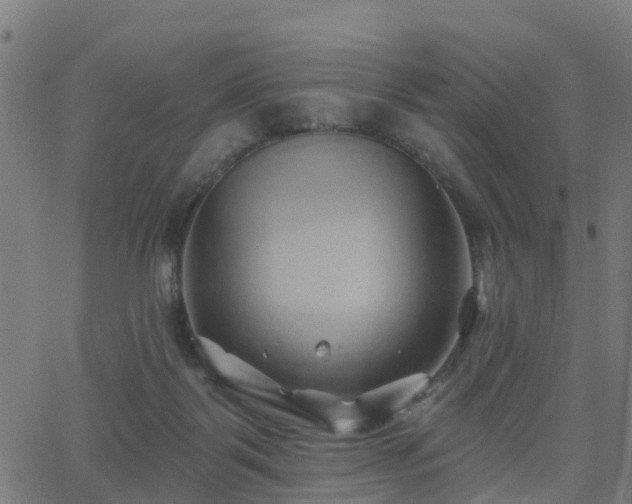 X0000062910123200601181229