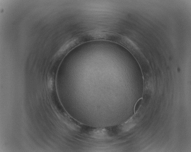 X0000062910124200601181229