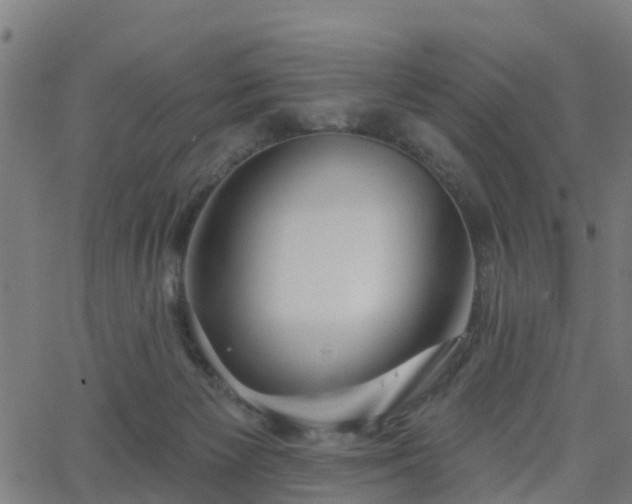 X0000062910125200601181229