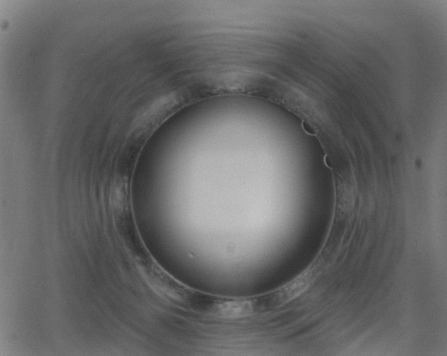 X0000062910126200601181229