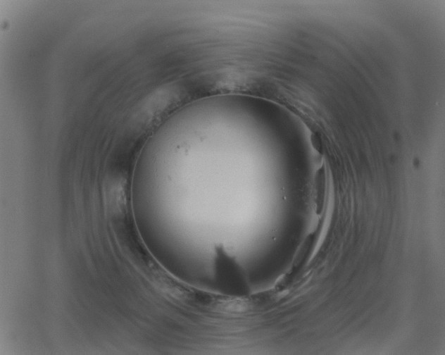 X0000062910127200601181229