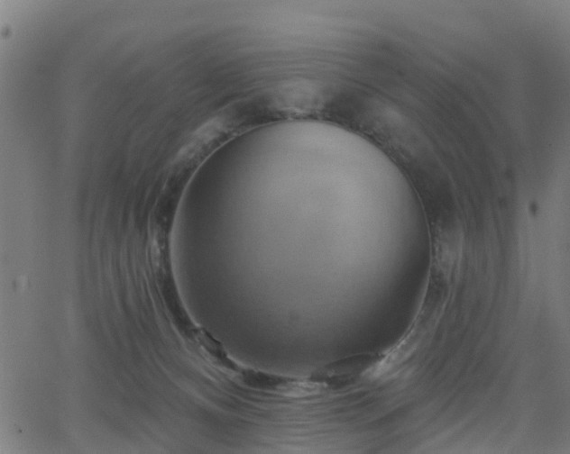 X0000062910128200601181229