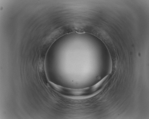 X0000062910129200601181229