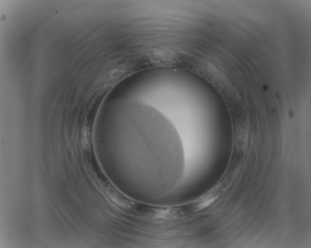 X0000062910130200601181229