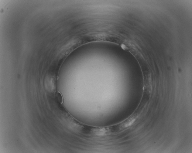 X0000062910131200601181229