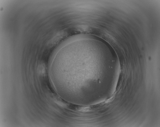 X0000062910132200601181229