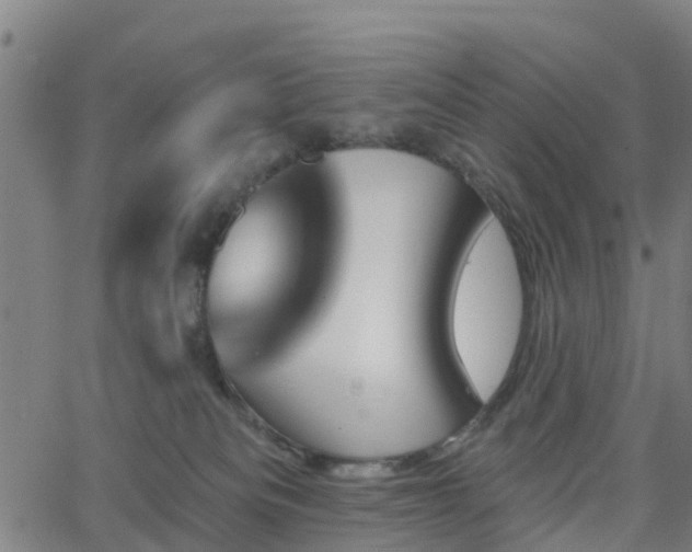 X0000062910133200601181229