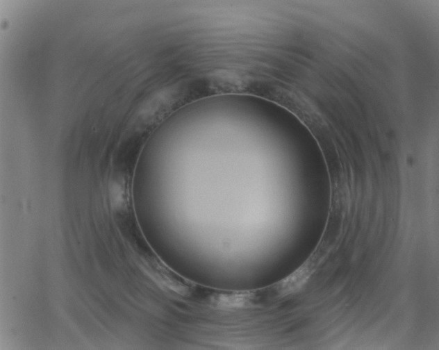 X0000062910134200601181229