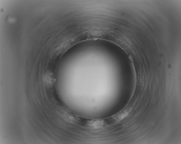 X0000062910135200601181229