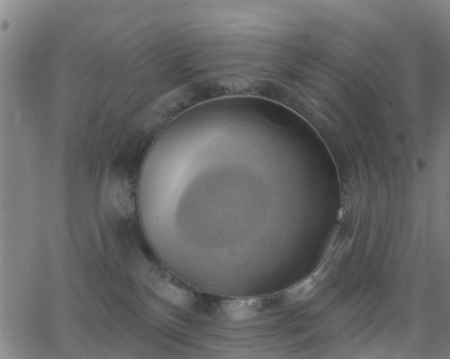 X0000062910136200601181229