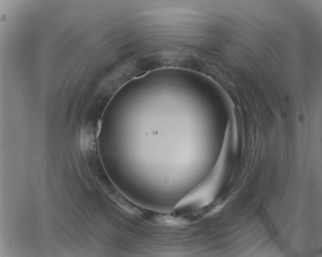 X0000062910137200601181229