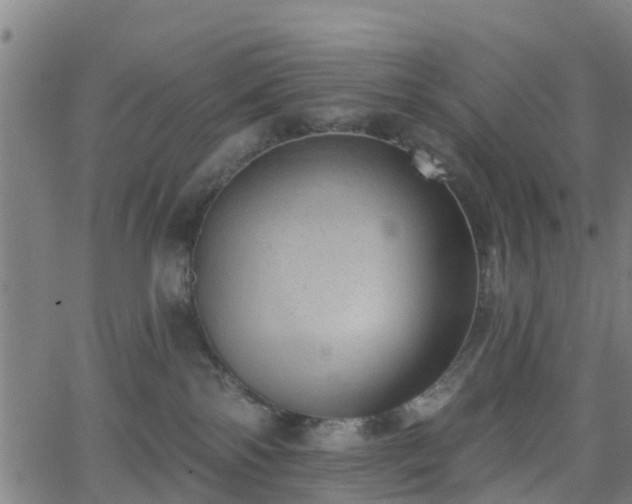 X0000062910138200601181229