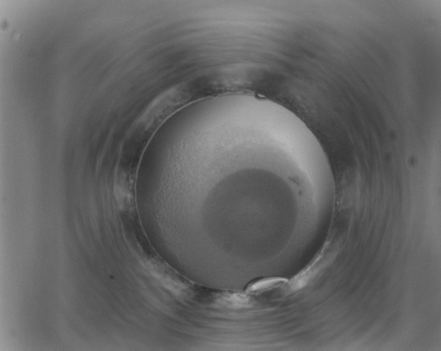 X0000062910140200601181229