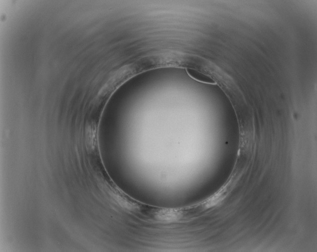 X0000062910142200601181229