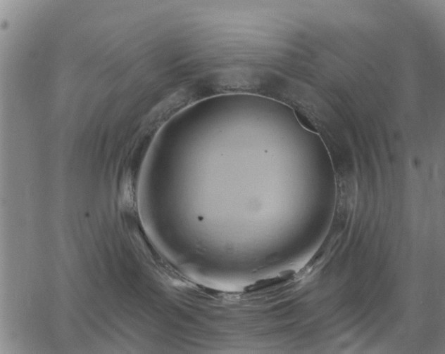 X0000062910143200601181229