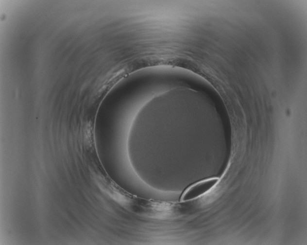 X0000062910144200601181229