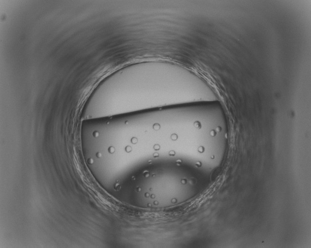 X0000062910145200601181228