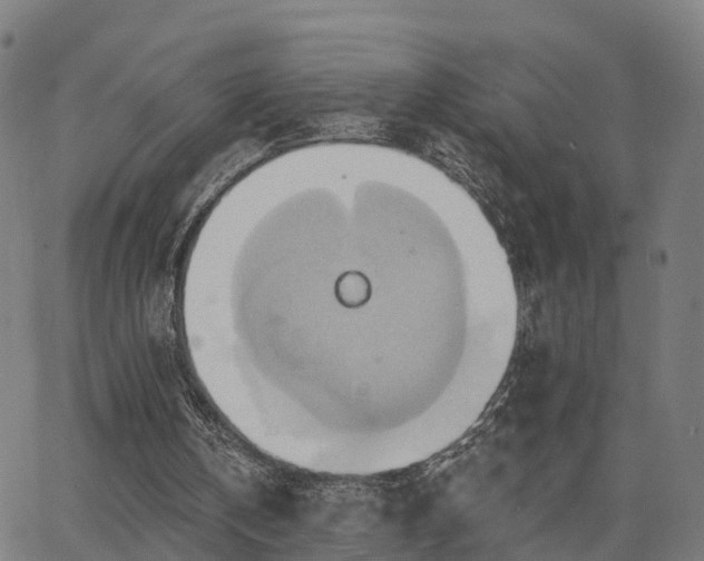 X0000062910146200601181228