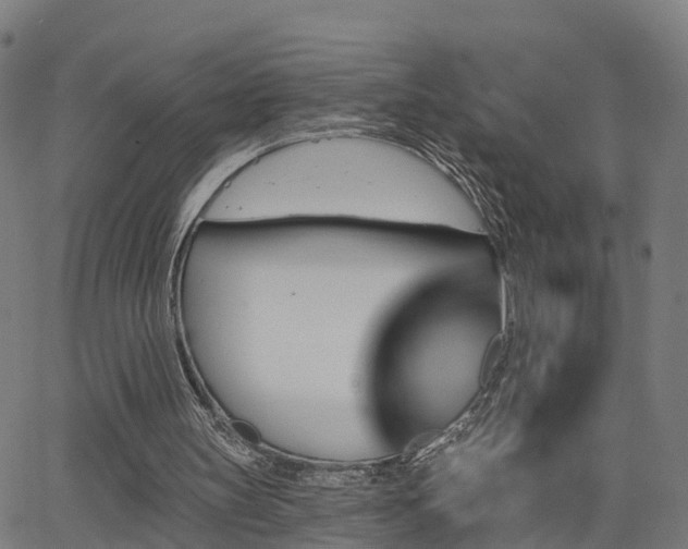 X0000062910147200601181228