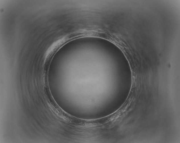 X0000062910149200601181228