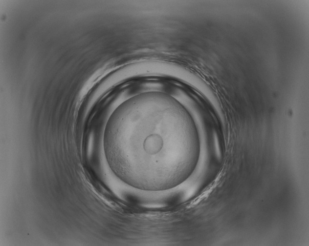 X0000062910150200601181228