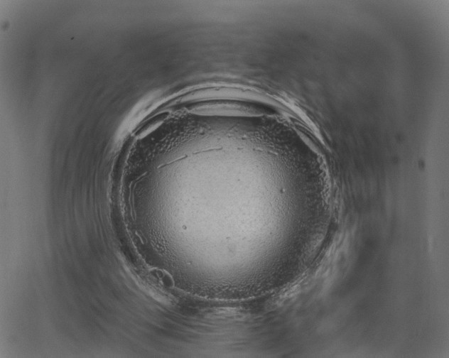 X0000062910151200601181228