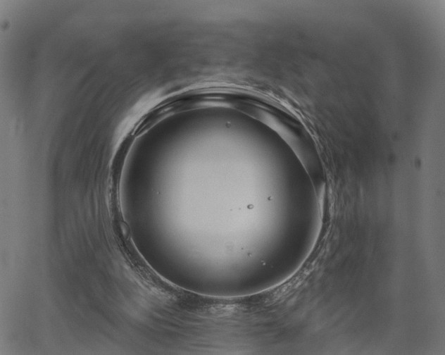 X0000062910152200601181228