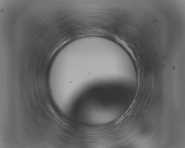 X0000062910154200601181228