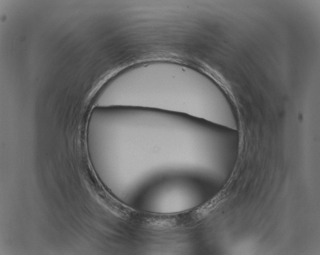 X0000062910155200601181228