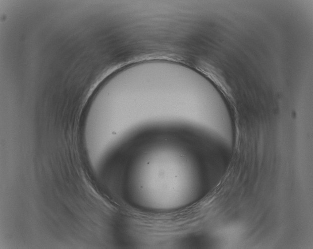 X0000062910156200601181228