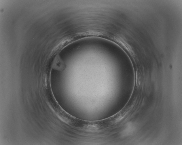 X0000062910157200601181228