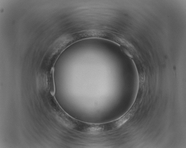 X0000062910158200601181228