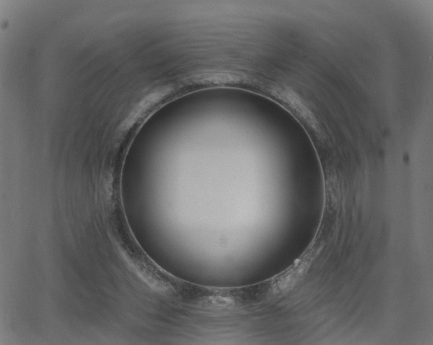 X0000062910159200601181228