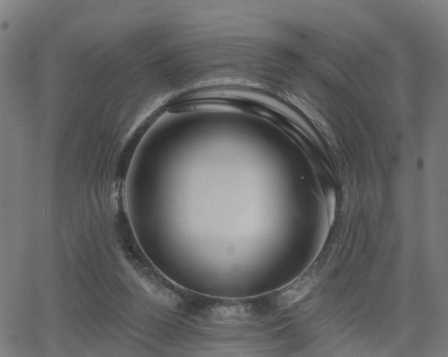 X0000062910160200601181228