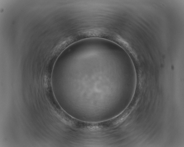 X0000062910161200601181228