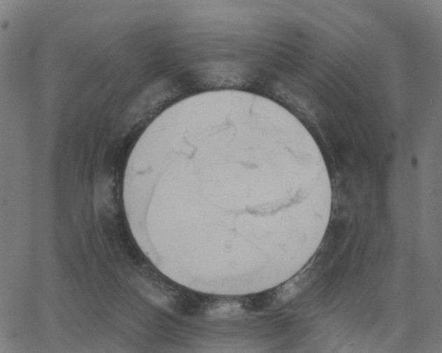 X0000062910162200601181228