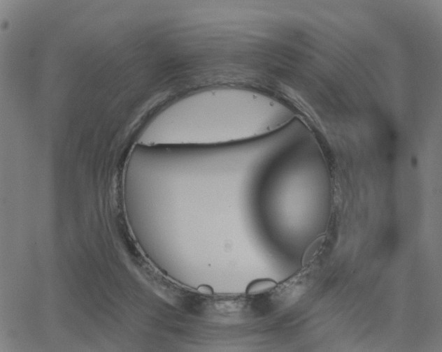 X0000062910163200601181228