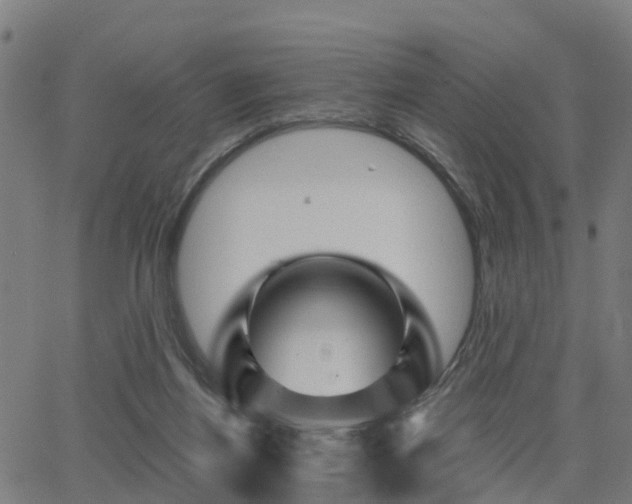 X0000062910164200601181228