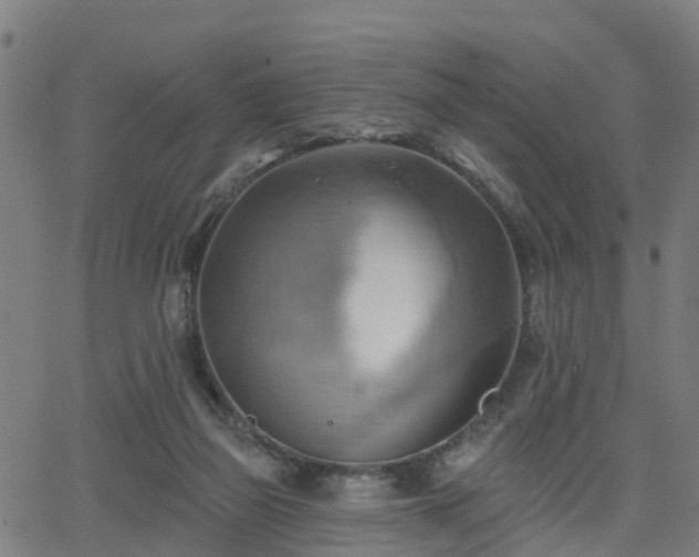 X0000062910165200601181228