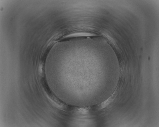 X0000062910166200601181228