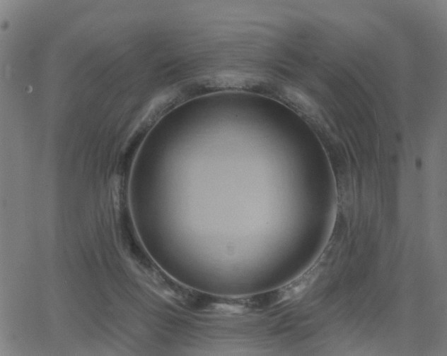 X0000062910167200601181228