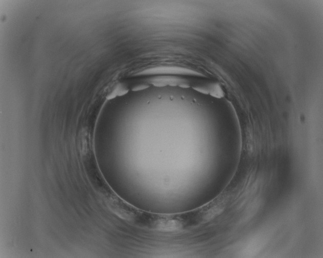 X0000062910169200601181228