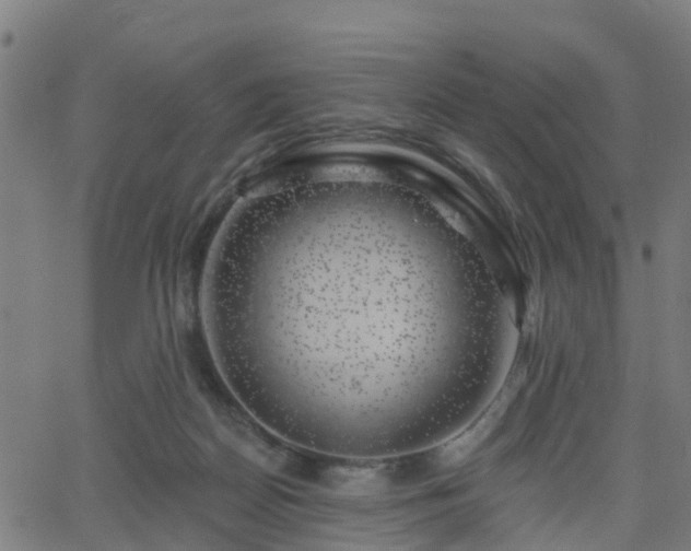 X0000062910170200601181228