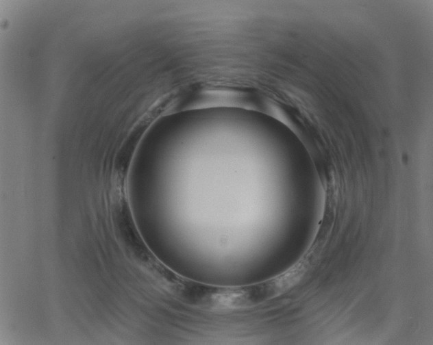 X0000062910172200601181228